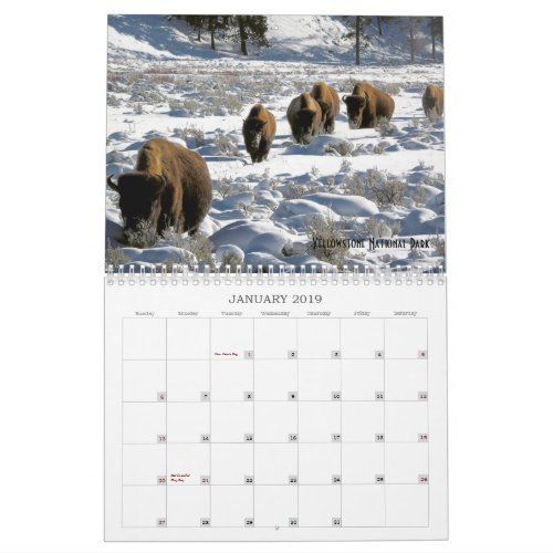 2019 US Public Lands Wildlife Calendar