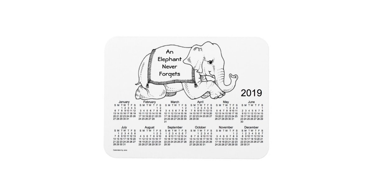 2019 White Elephant Calendar by Janz 3x4 Magnet Zazzle