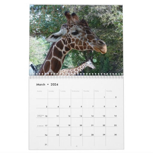 2019 Zoo Animals Calendar | Zazzle