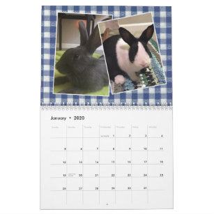 2020 Bunny Rescue & Education Calendar