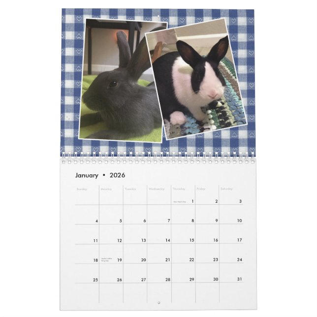 2020 Bunny Rescue & Education Calendar (Jan 2026)