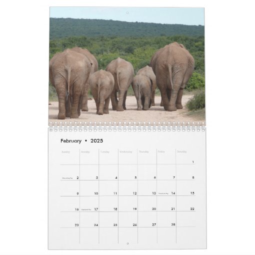 2020 Butts Calendar | Zazzle