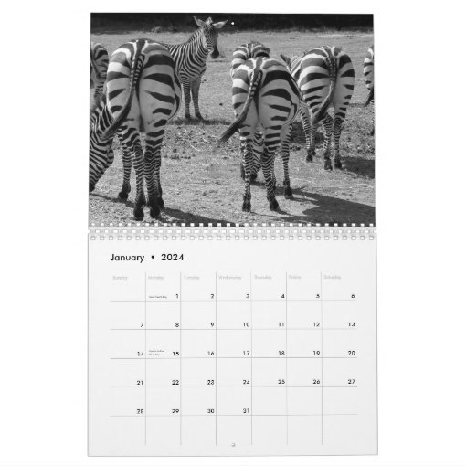 2020 Butts Calendar | Zazzle