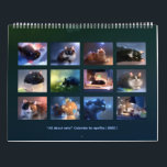 2020 Calendar - All about cats!<br><div class="desc">Calendar for the year 2020 featuring 12 original artworks by apofiss.</div>