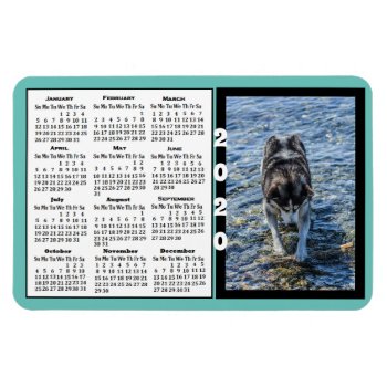 2020 Calendar Magnet Custom Color Photo Magnet by Everything_Grandma at Zazzle