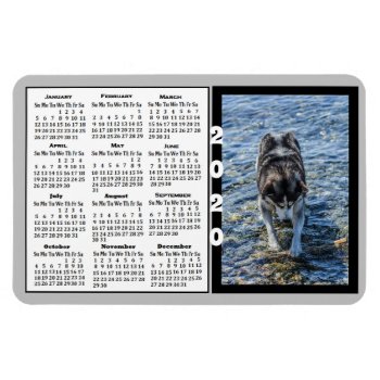2020 Calendar Magnet Custom Color Photo Magnet by Everything_Grandma at Zazzle