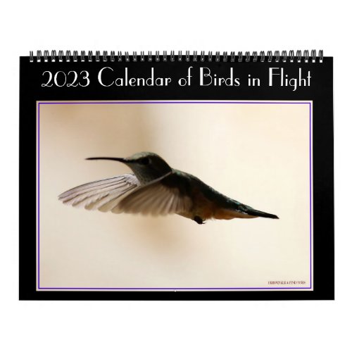 2020 Calendar of Birds in Flight