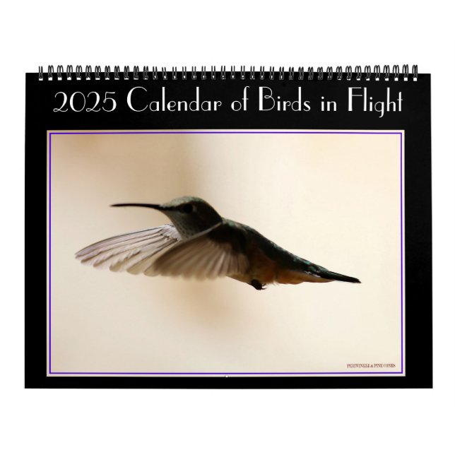 2020 Calendar of Birds in Flight (Cover)