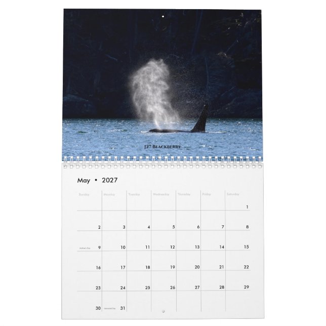 2020 Calendar Southern Resident Killer Whales (May 2027)