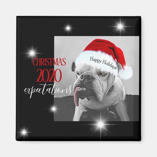 2020 Christmas expectations, Huey in Santa hat. Magnet (Front)