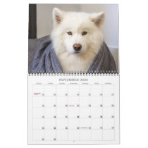 2020 Coconut Rice Bear Calendar 2020 Coconut Rice Bear Calendar