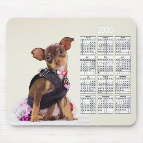 2020 Cute Mini Pinscher Dressed Up Calendar Mouse Pad