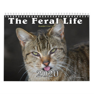 2020 Feral Cats Calendar, The Feral Life Calendar