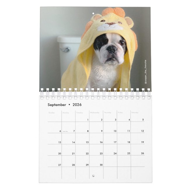 2020 French Bulldog Calendar - Cooper the Frenchie (Sep 2026)