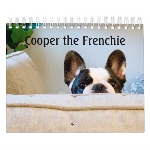 2020 French Bulldog Calendar _ Cooper the Frenchie