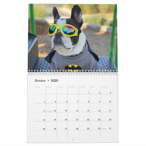 2020 French Bulldog Calendar for Dog Lovers