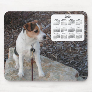 2020 Jack Russell Terrier Dog Calendar by Janz Mouse Pad