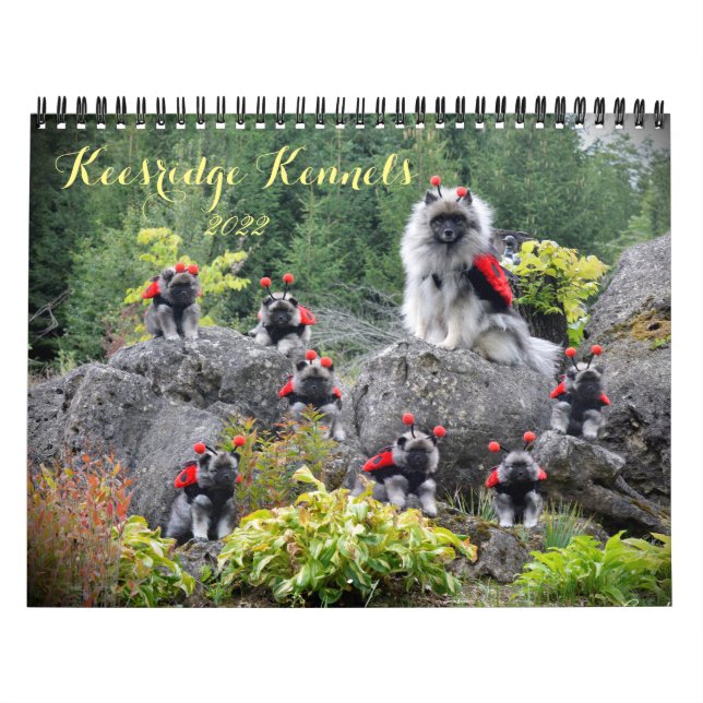 2020 Keesridge Kennels calendar (Cover)