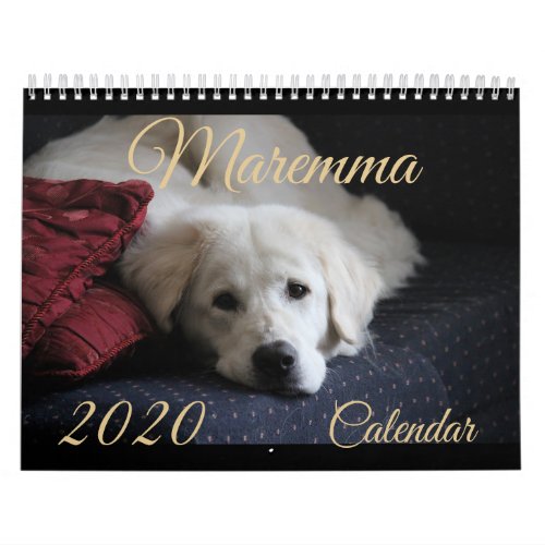 2020 Maremma Calendar