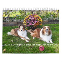 2020 MINNESOTA SHELTIE RESCUE CALENDAR 2020 MINNESOTA SHELTIE RESCUE CALENDAR