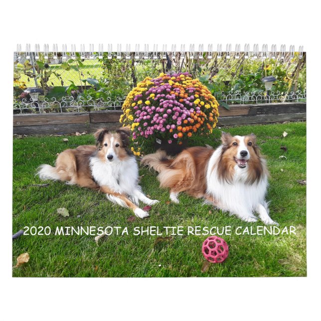 2020 MINNESOTA SHELTIE RESCUE CALENDAR (Cover)