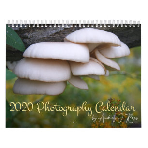 2020 Photography Calendar