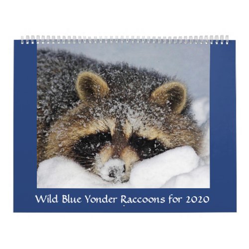 2020 Raccoon Calendar from Wild Blue Yonder 