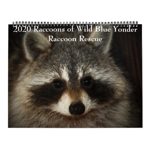 2020 Raccoons of Wild Blue Yonder Raccoon Rescue Calendar