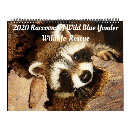 2020 Raccoons of Wild Blue Yonder Wildlife Rescue Calendar