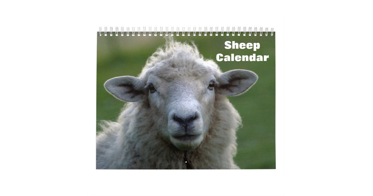 2020 Sheep Calendar | Zazzle.com