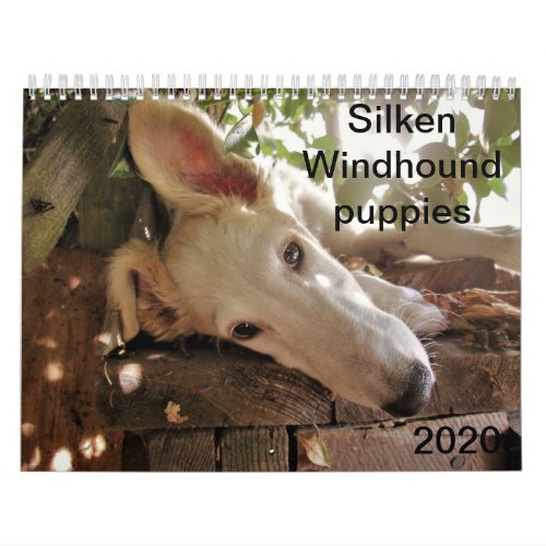 2020 Silken Windhound Puppies Calendar