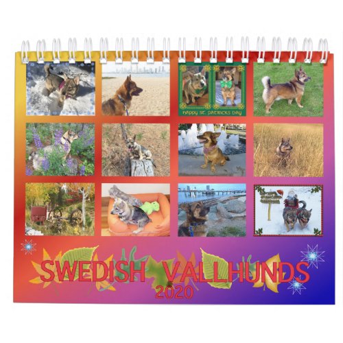 2020 Swedish Vallhund Calendar