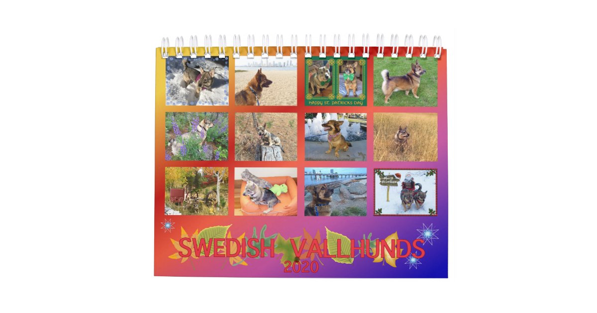 2020 Swedish Vallhund Calendar Zazzle