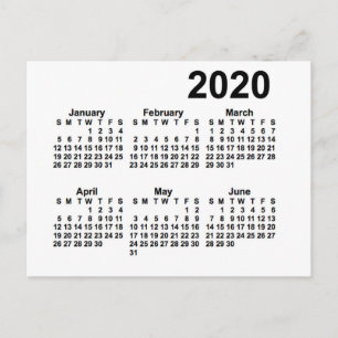 2020 White 6 Month Mini Calendar by Janz Postcard