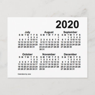 2020 White 6 Month Mini Calendar by Janz Postcard