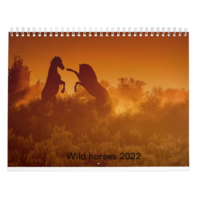 2020 wild mustang calander calendar (Cover)