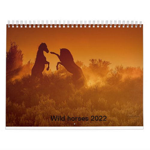 2020 wild mustang calander calendar