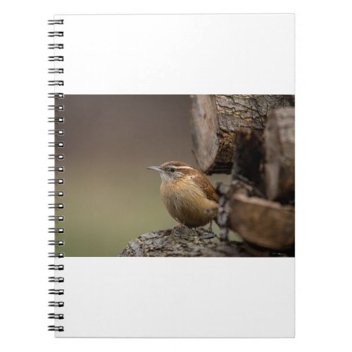 20210105_Back_Yard_Birds_064 Notebook