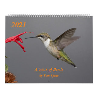 2021 ~ A Year of Birds Calendar