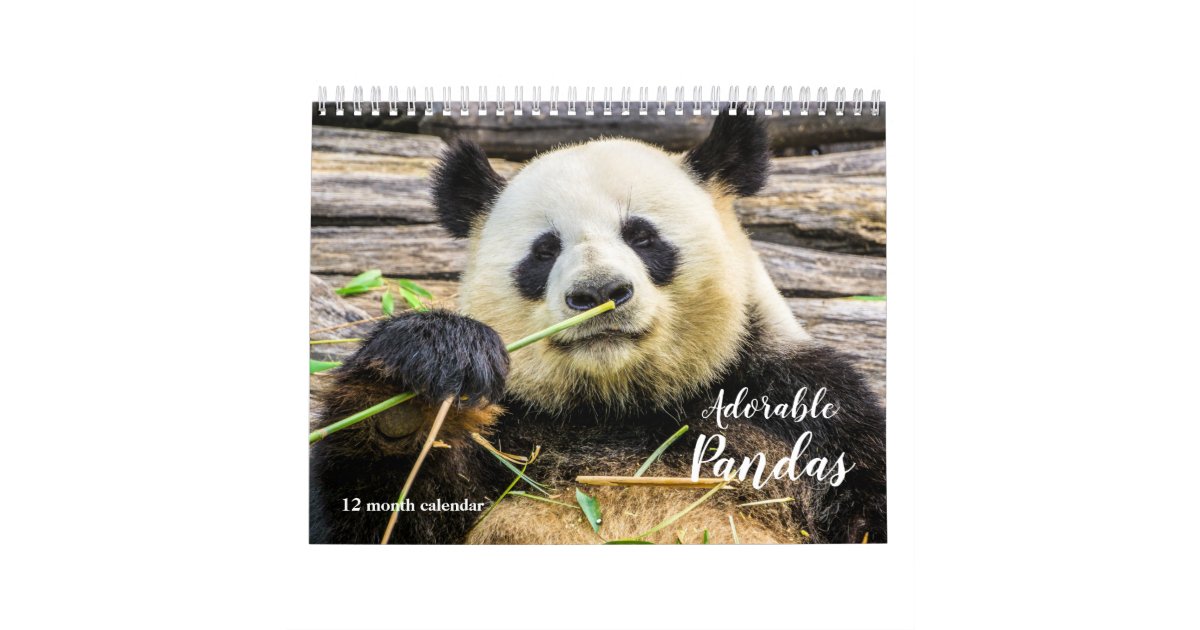 2021 Adorable Pandas Calendar | Zazzle.com