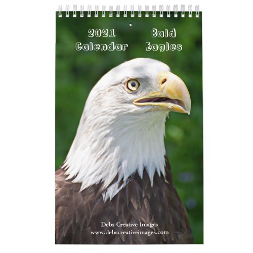 2021 Bald Eagles Calendar