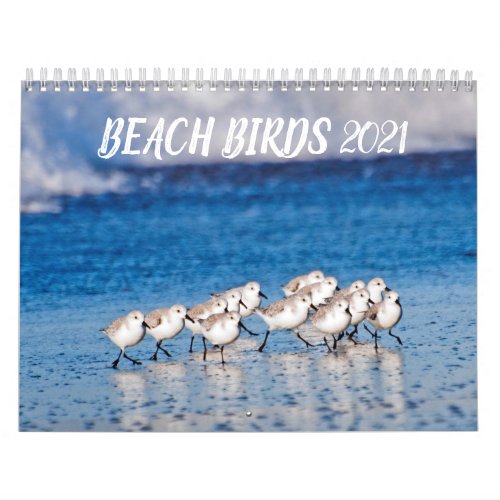 2021 Beach Birds Photography Calendar