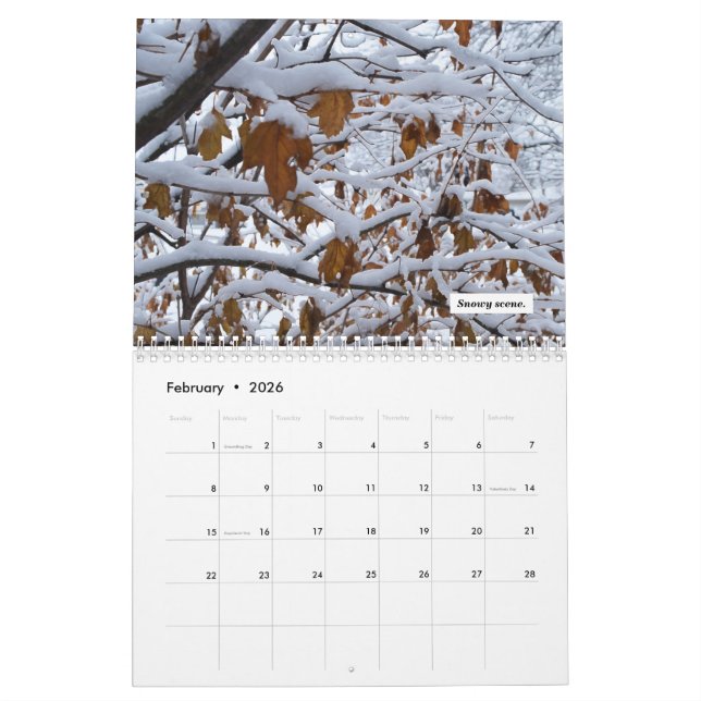 2021 Calendar (Feb 2026)