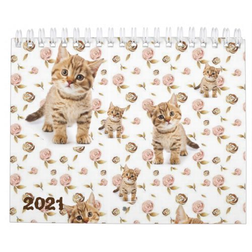 2021 Calendar Kittens Cats