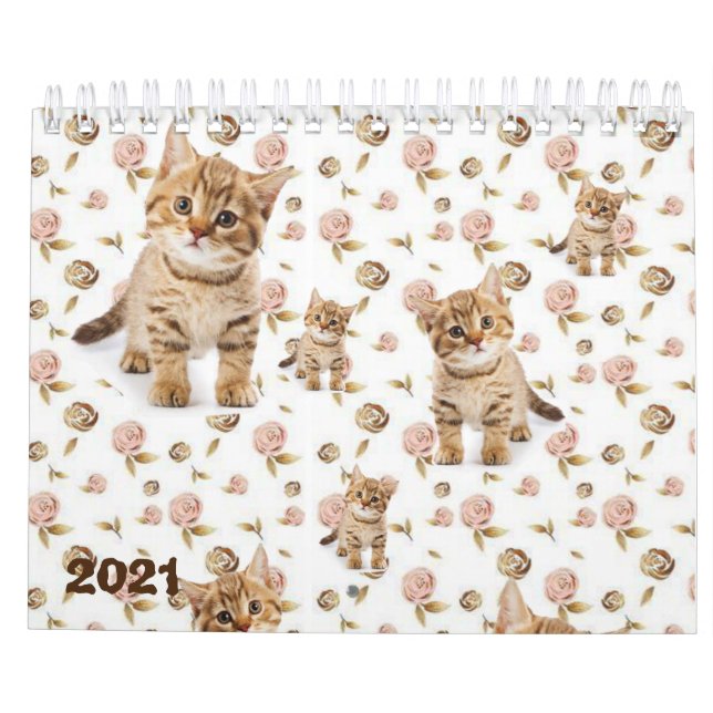 2021 Calendar Kittens Cats (Back)