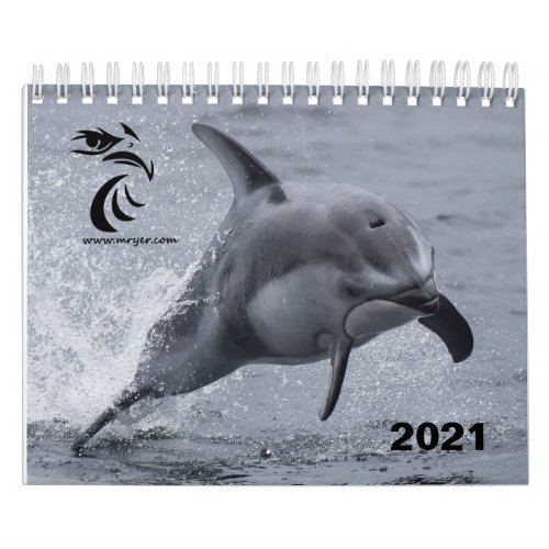 2021 Calendar _ Pacific White Sided Dolphins
