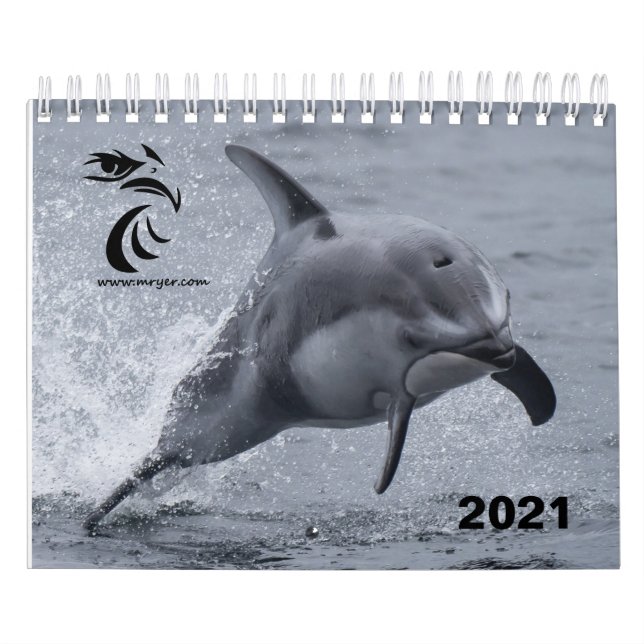 2021 Calendar - Pacific White Sided Dolphins (Cover)