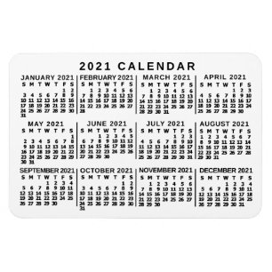 2021 Calendar (See Description for New Version) Magnet