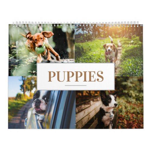 2021 Canine Calendar Puppy Calendar Home Wall Dog