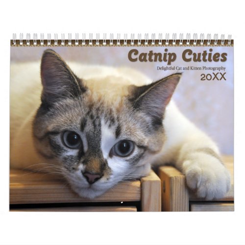 2021 Catnip Cuties Cats and Kittens Calendar